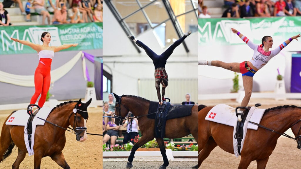 With EISENHORN I go far beyond the basic exercises 2 230614 samira garius voltigier collage comp