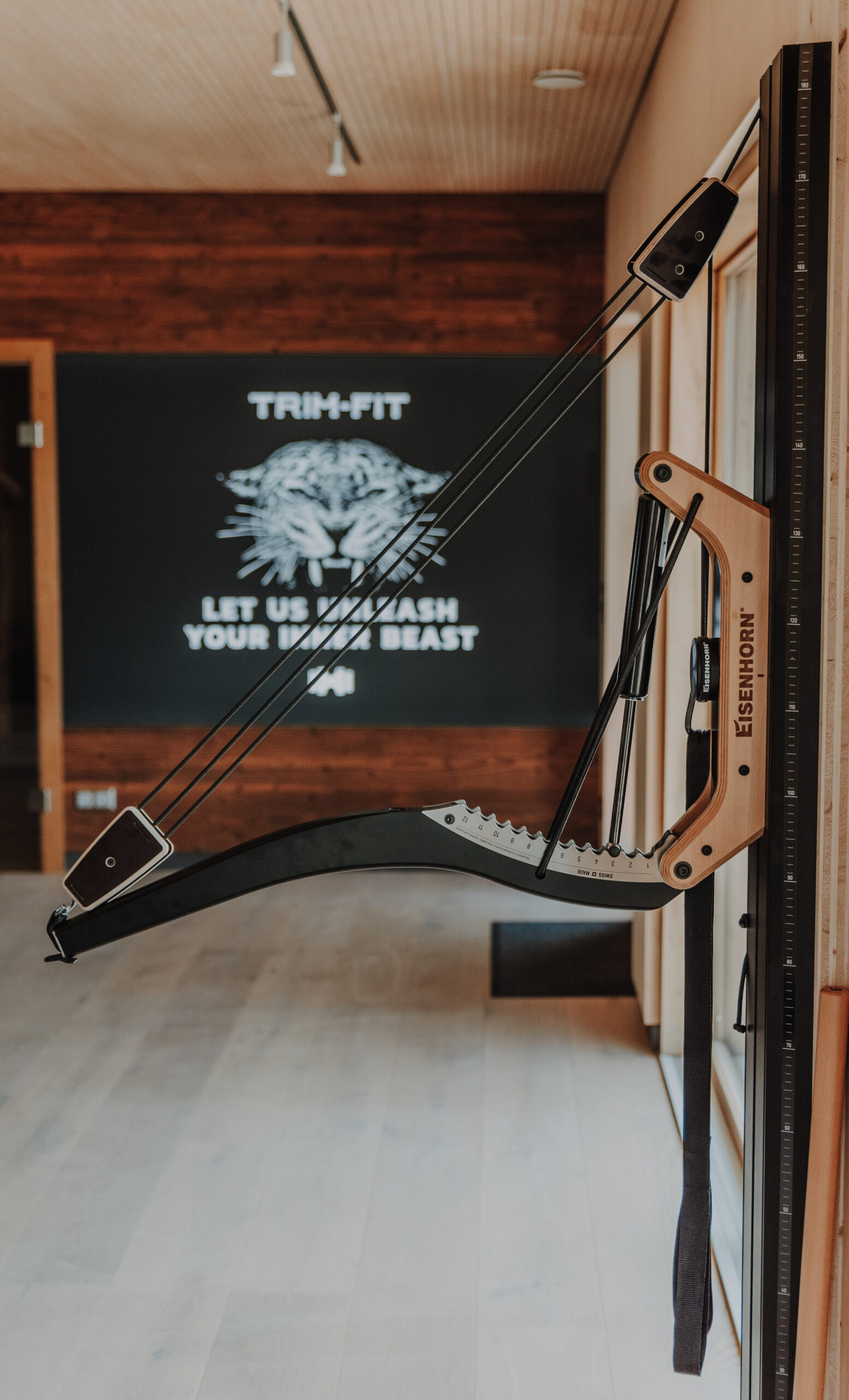 Why we rely on EISENHORN at TRIM-FIT 2 TRIM-FIT fitness studio with EISENHORN